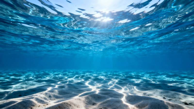 海底阳光洒落 沙纹如诗图片