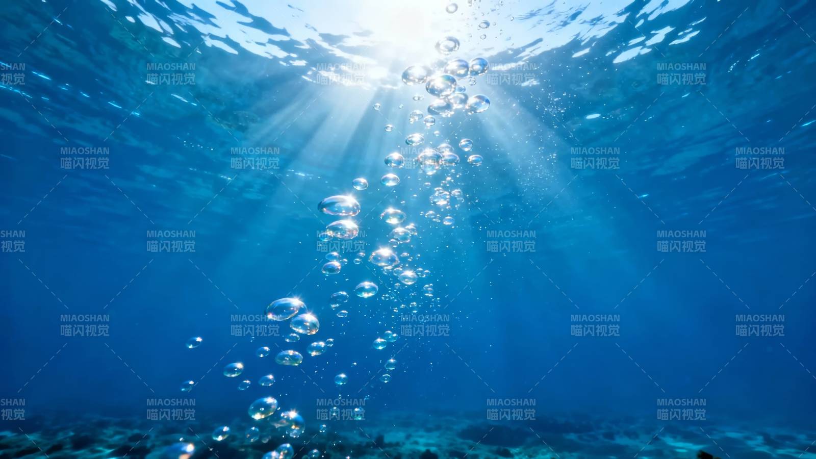 阳光穿透海底 气泡升腾如梦图片