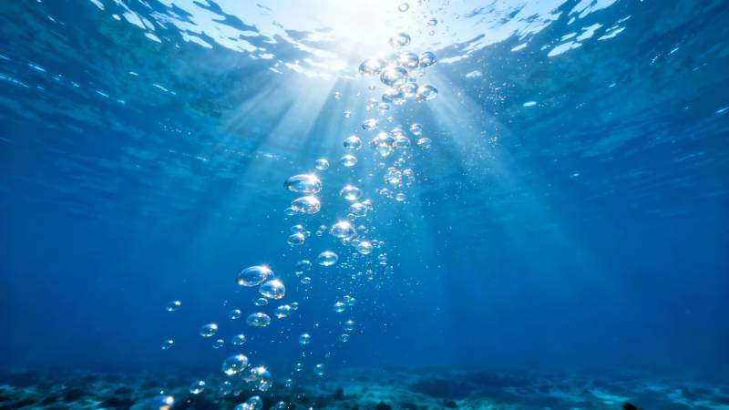 阳光穿透海底 气泡升腾如梦图片