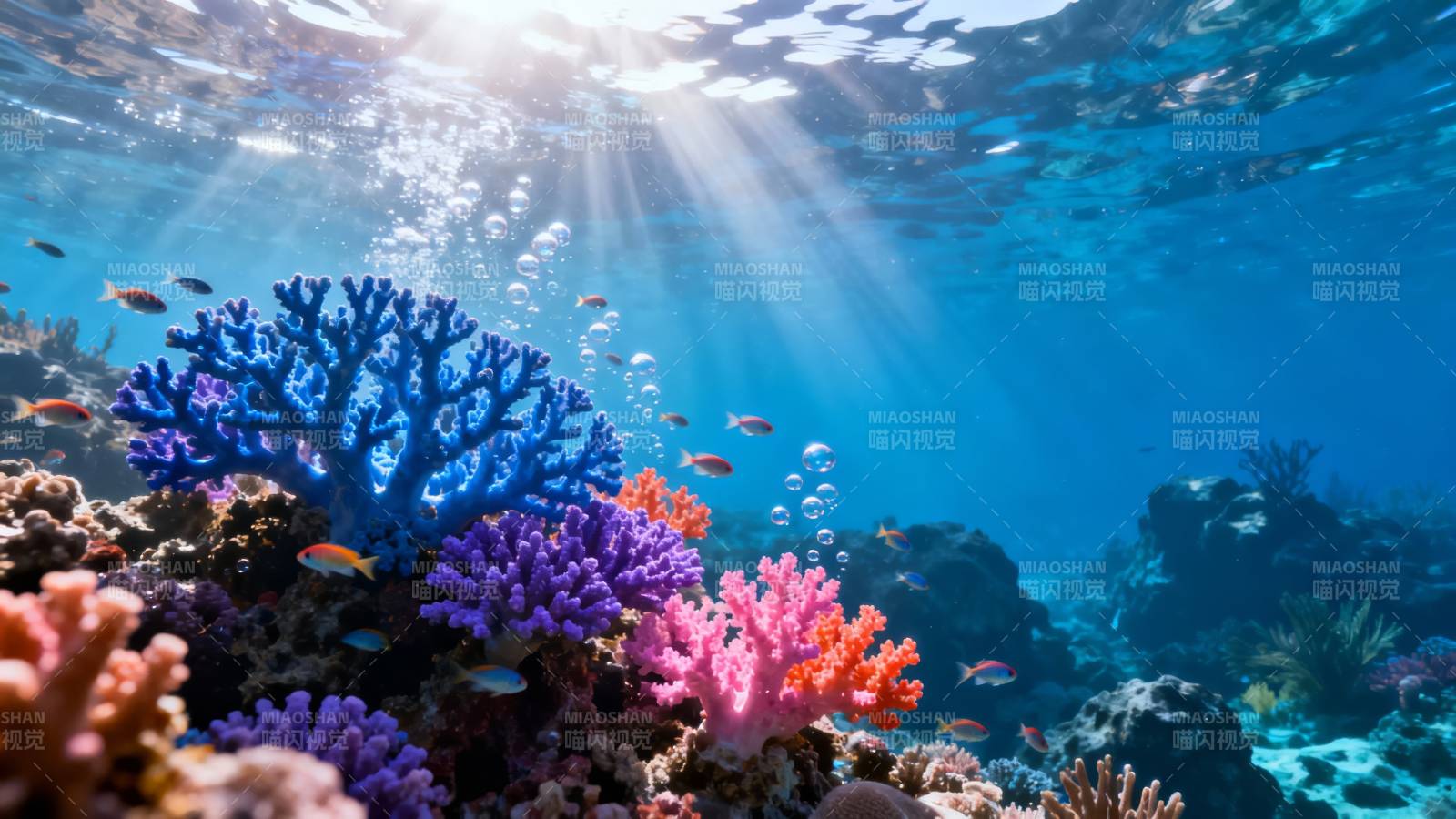 海底珊瑚花园 阳光穿透蓝水图片