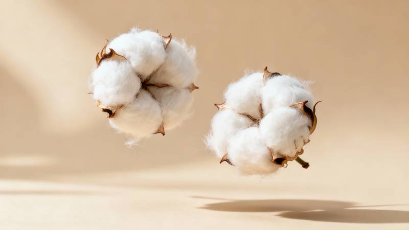 棉花轻盈飞舞瞬间图片