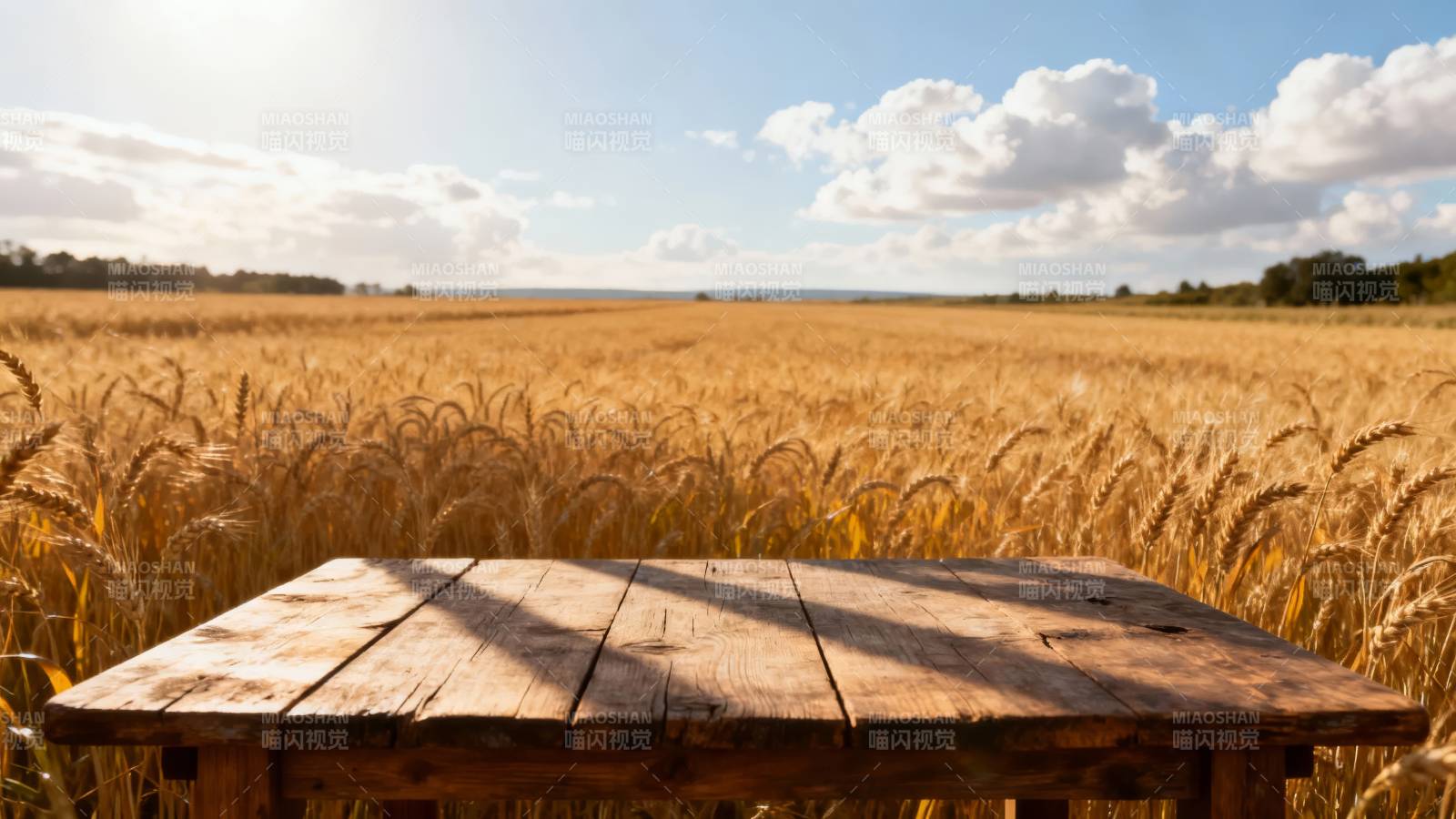 麦田木桌 秋日暖阳图片