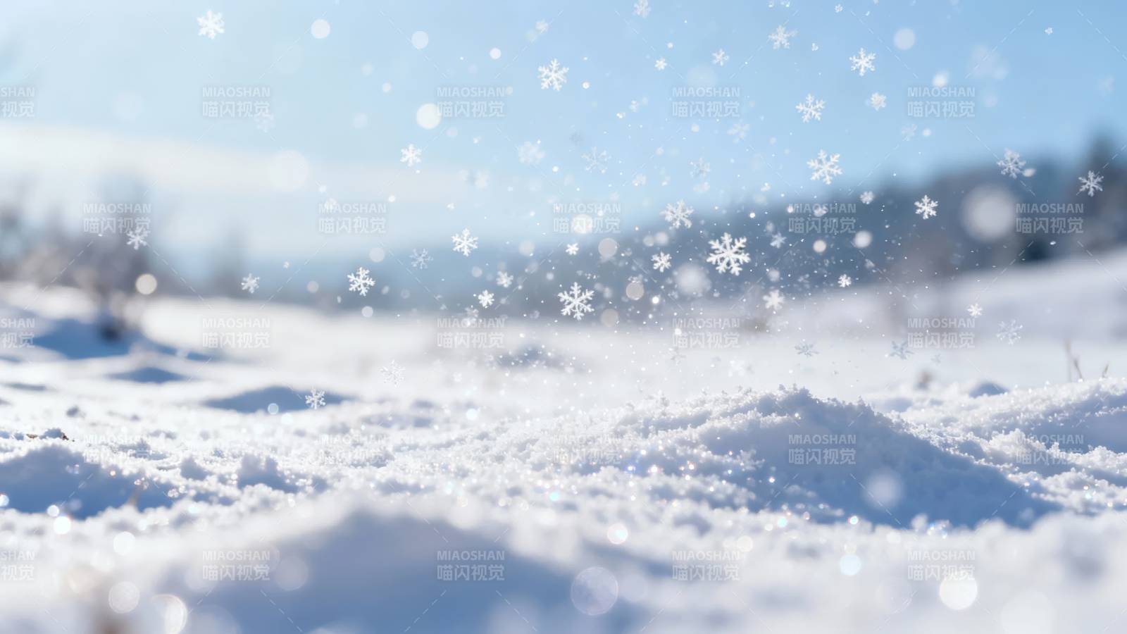 雪落无声 冬日静美图片