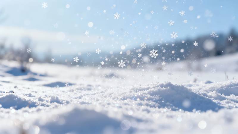 雪落无声 冬日静美图片