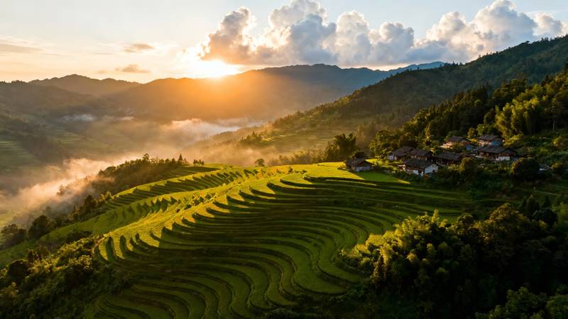 晨曦梯田 云雾绕山间图片