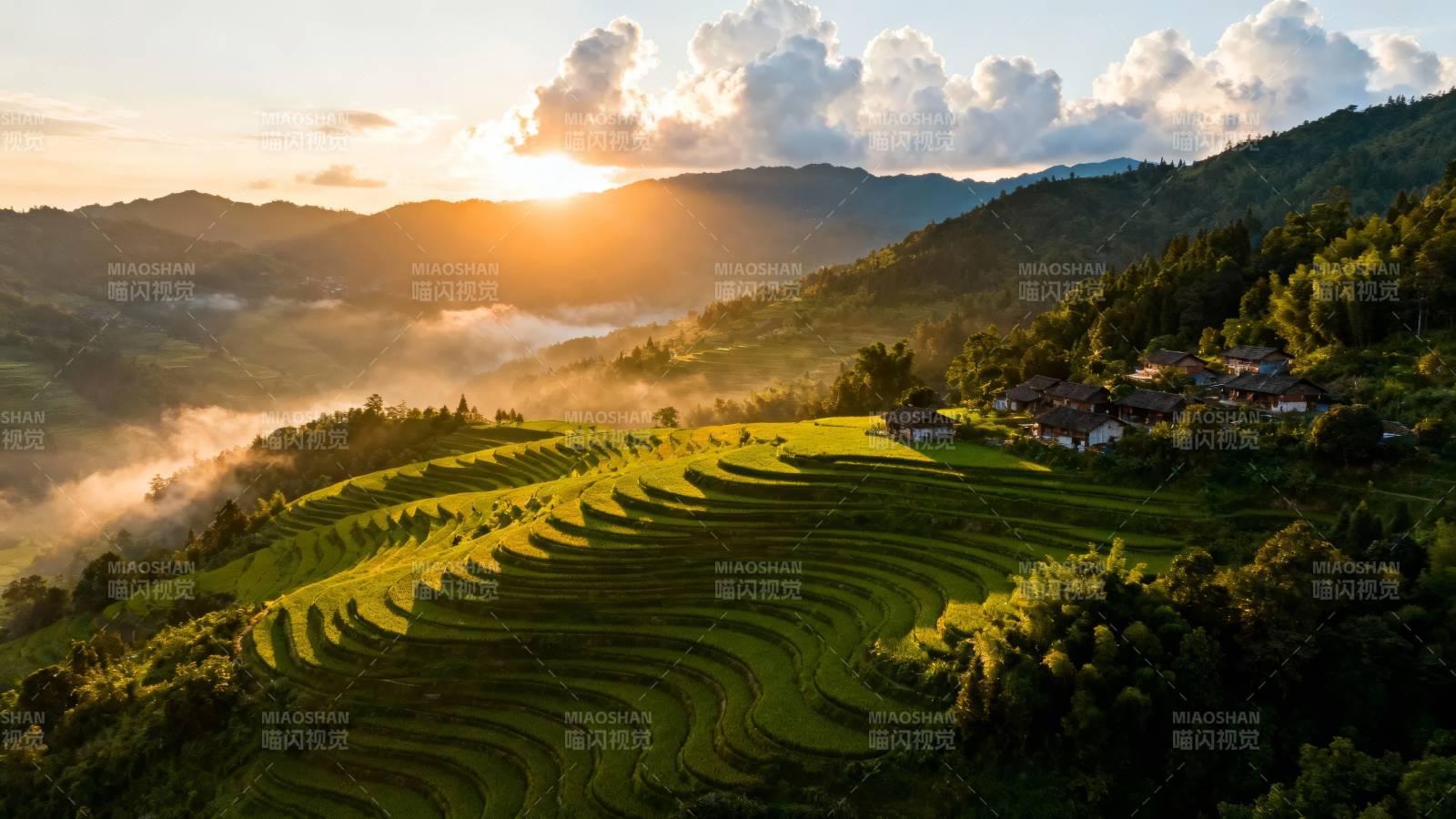 晨曦梯田 云雾绕山间图片