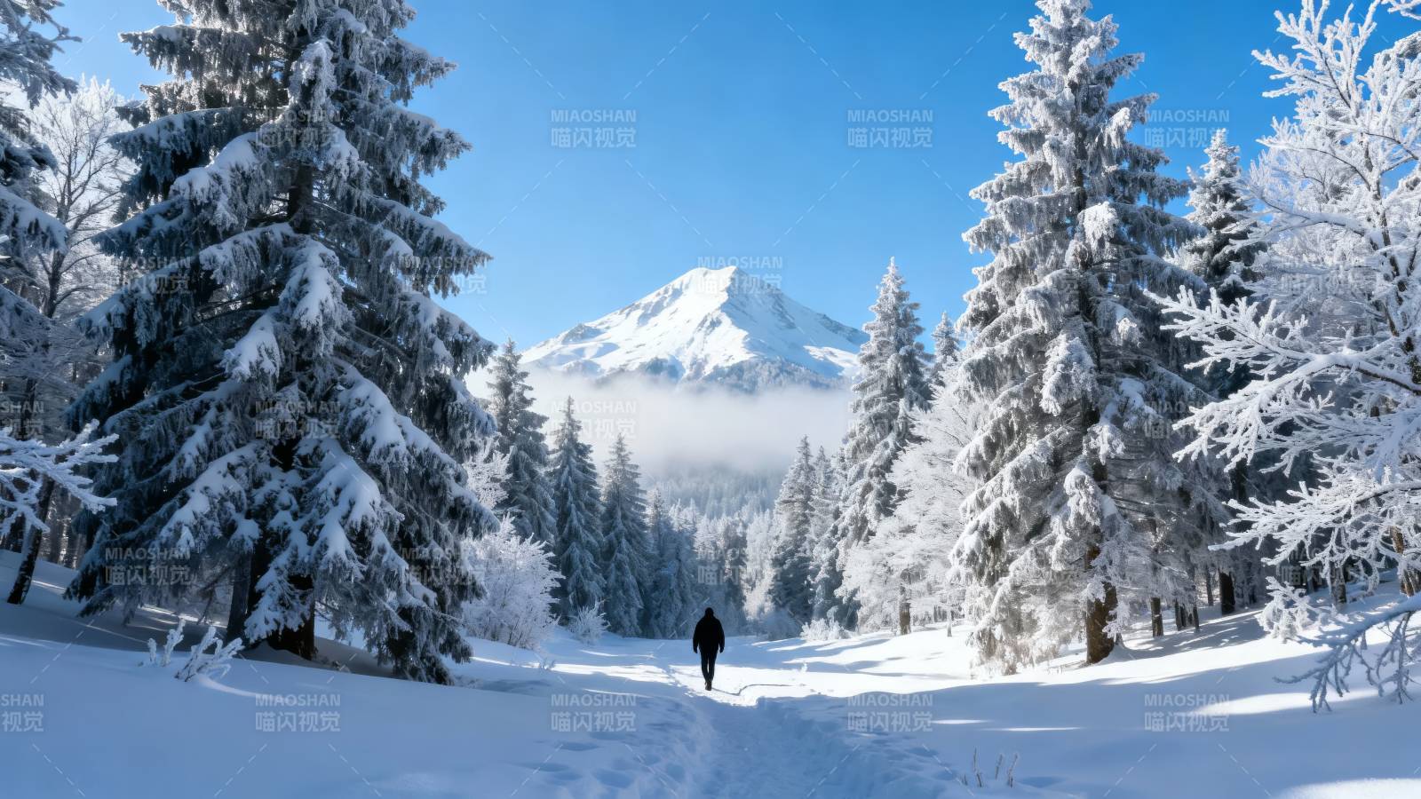 雪径通雪山 孤影入画来图片