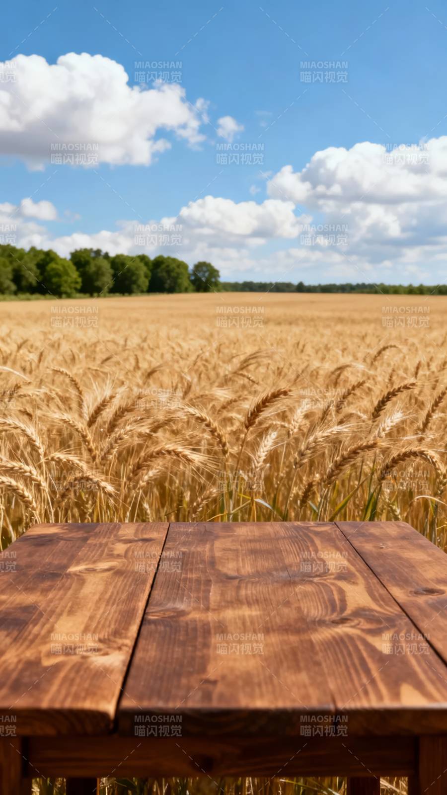 麦田木桌 蓝天白云下图片