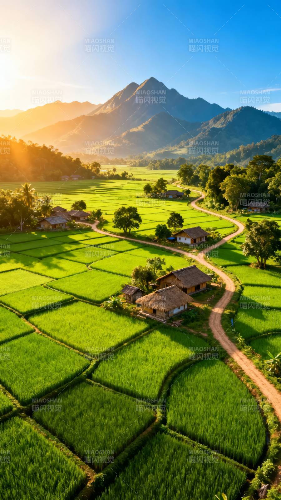 青山绿田 晨光如诗图片