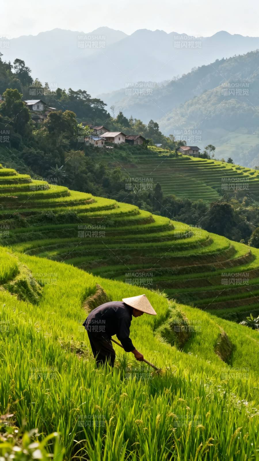 梯田农夫劳作图图片