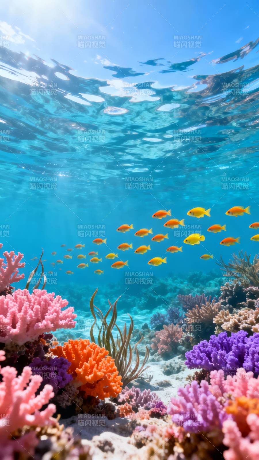 海底珊瑚鱼群绚烂世界图片