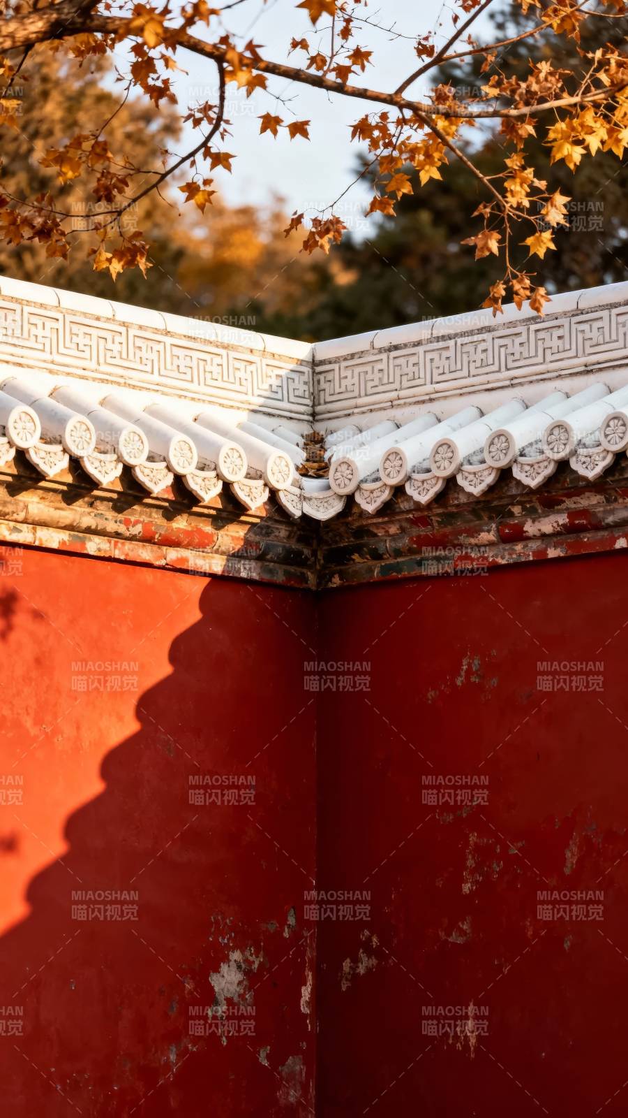 红墙秋影 古韵悠然图片