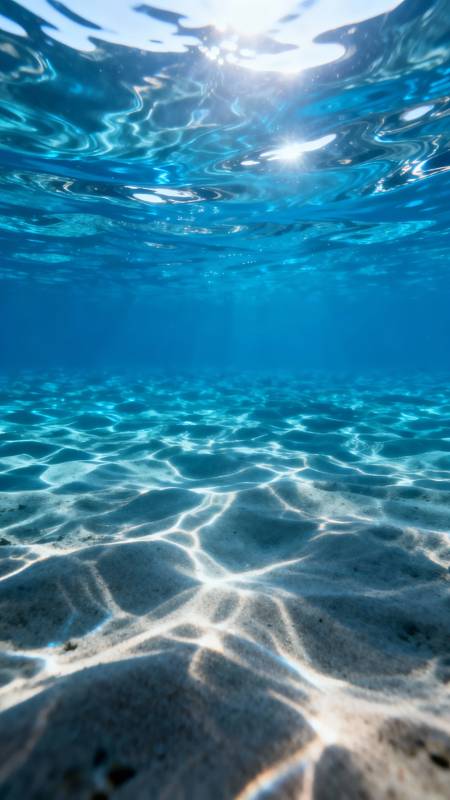 海底阳光 沙纹如织图片