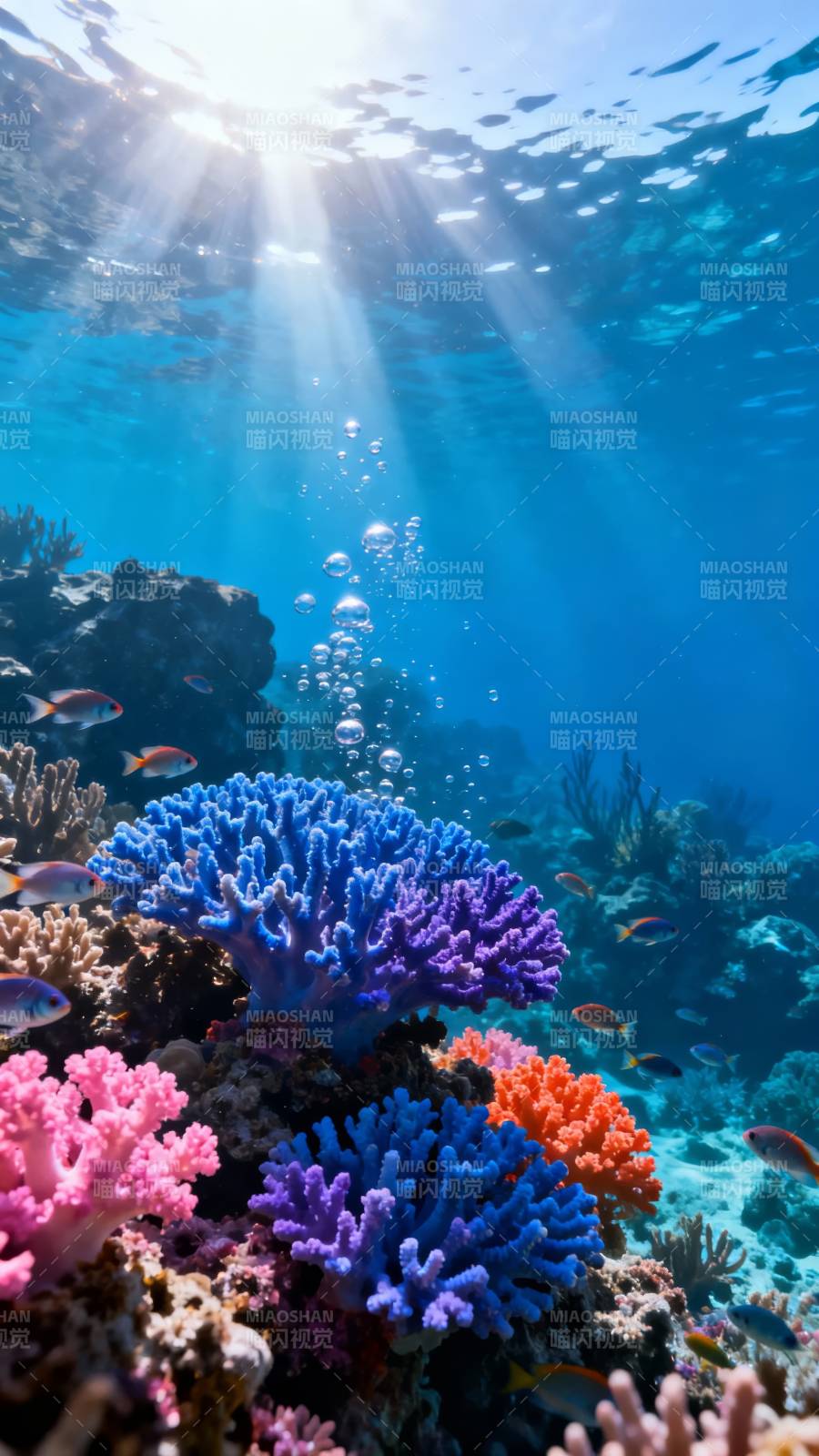 海底珊瑚花园 阳光穿透蓝海图片