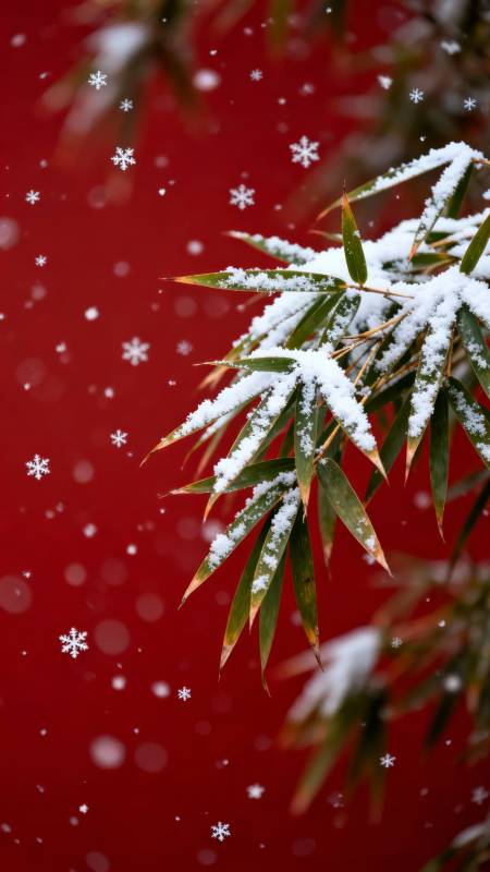 雪落竹枝映红墙图片