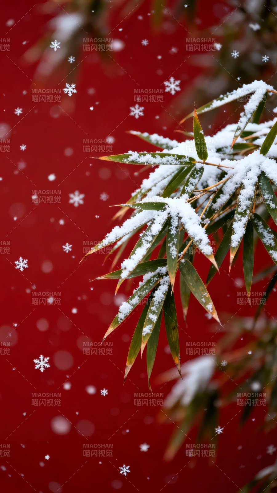 雪落竹枝映红墙图片