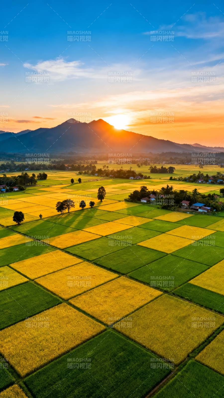 夕阳稻田 山影如画图片