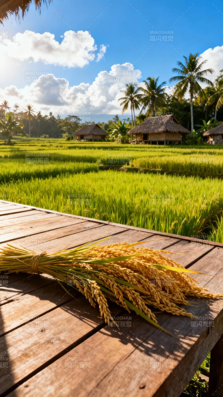 稻香田园 椰影人家图片