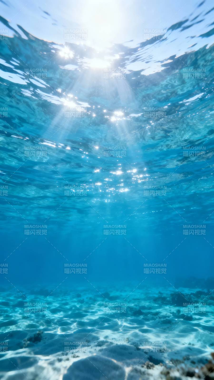 海底阳光 静谧蓝梦图片