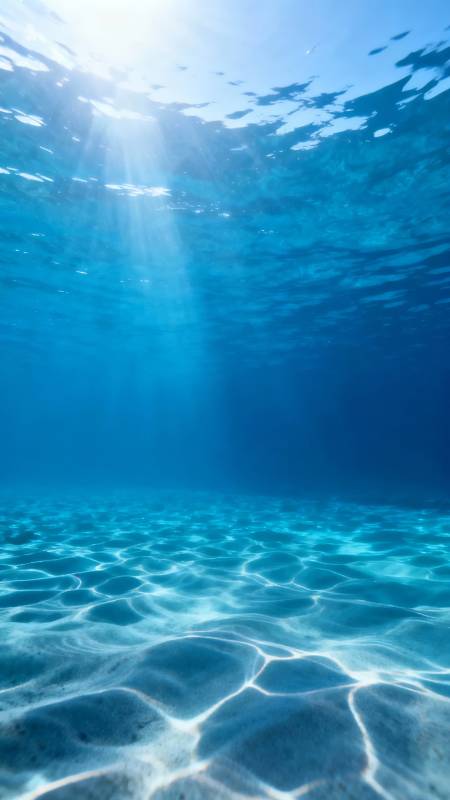 海底阳光 静谧蓝梦图片