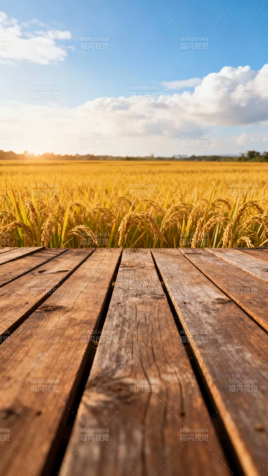 稻田木台 夕阳云影间图片