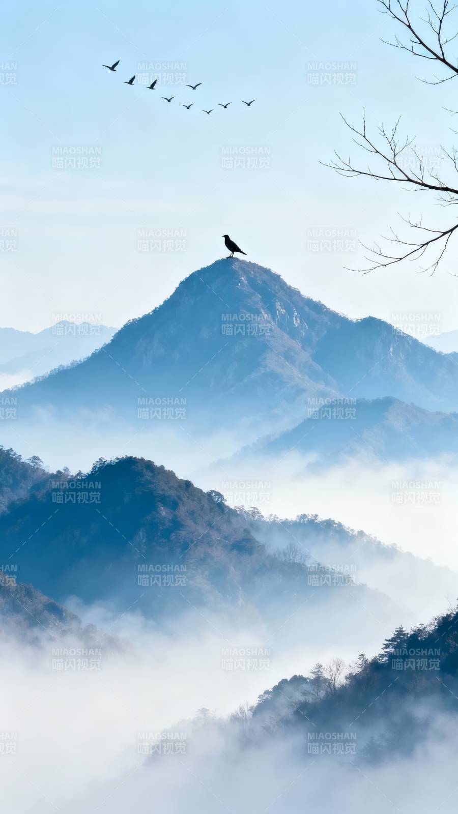 山巅孤鸟 云海飞雁图片