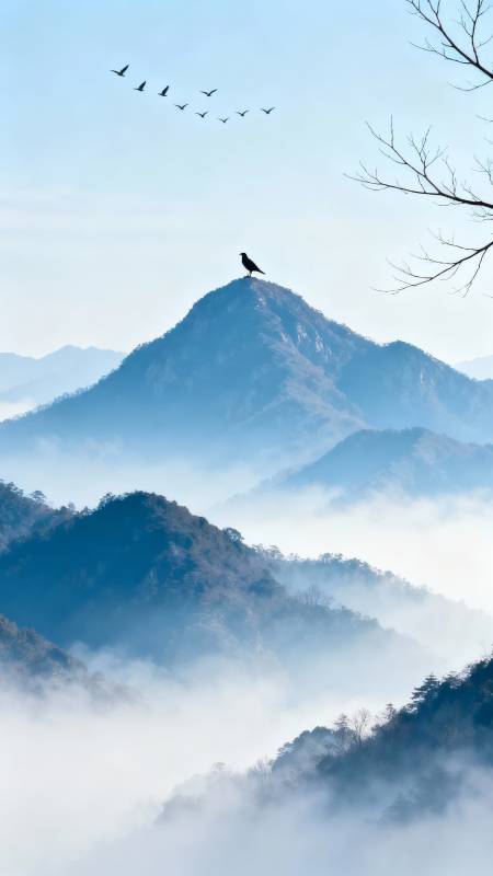 山巅孤鸟 云海飞雁图片