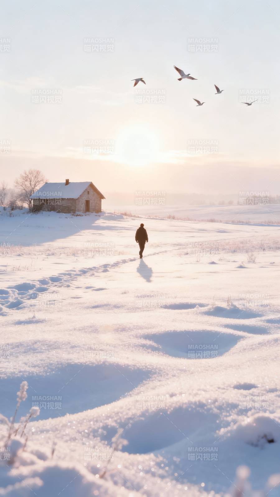 雪径孤影 归途有光图片