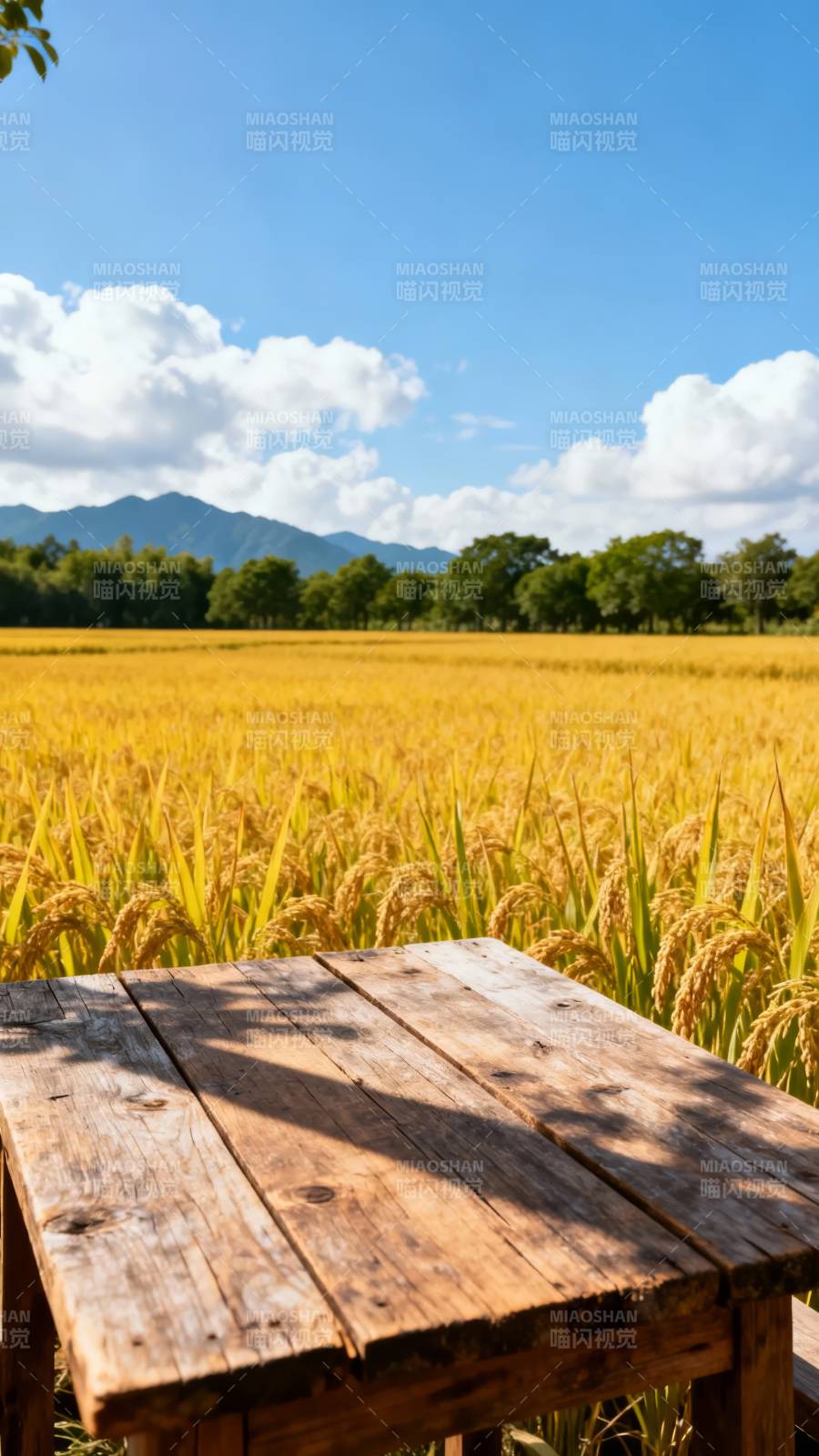 稻田木桌 远山云影下图片