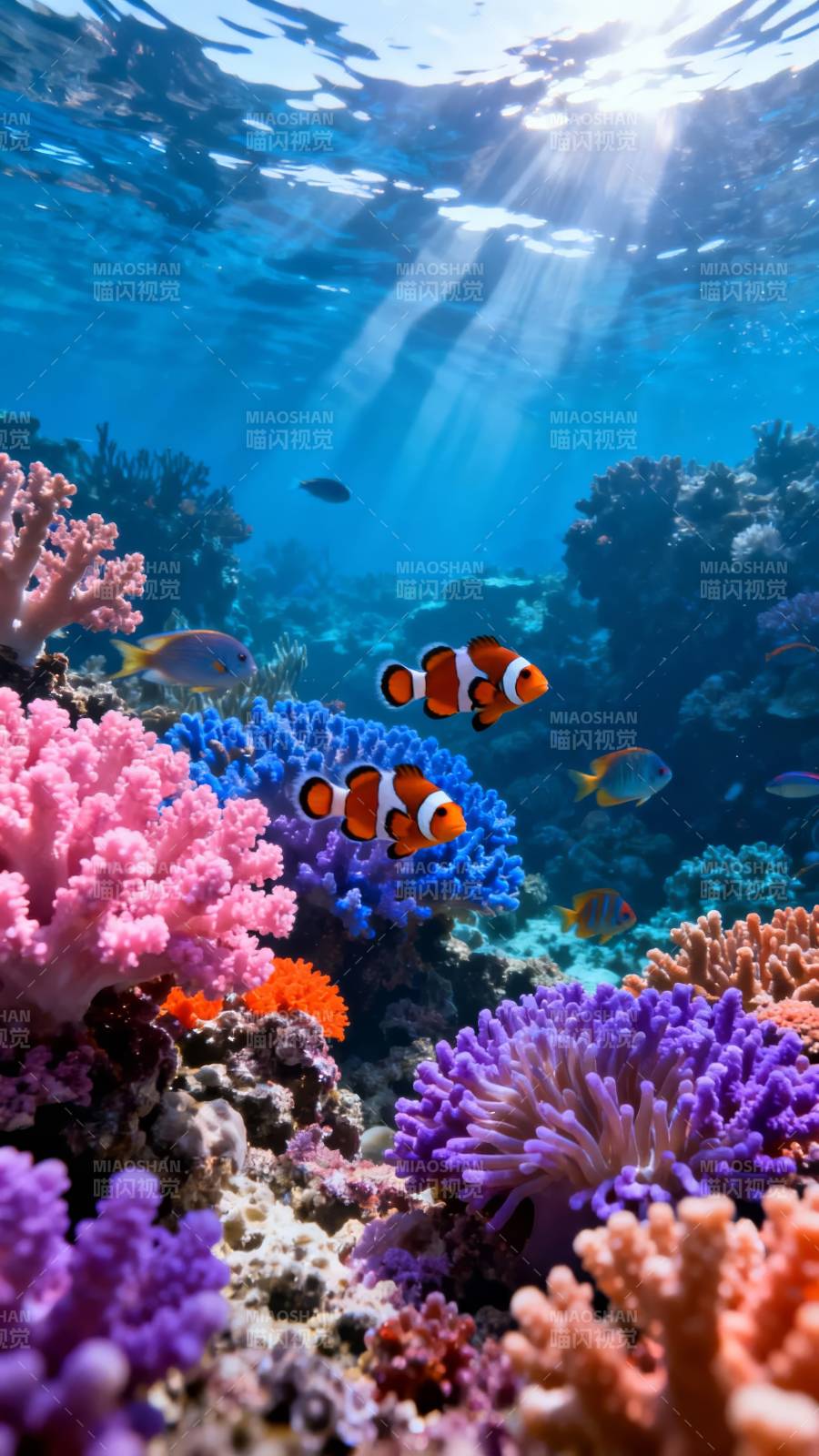 海底珊瑚鱼群绚烂世界图片
