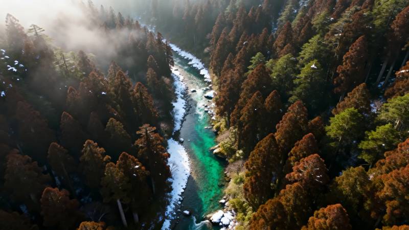 雾绕翠谷 碧溪穿林间图片