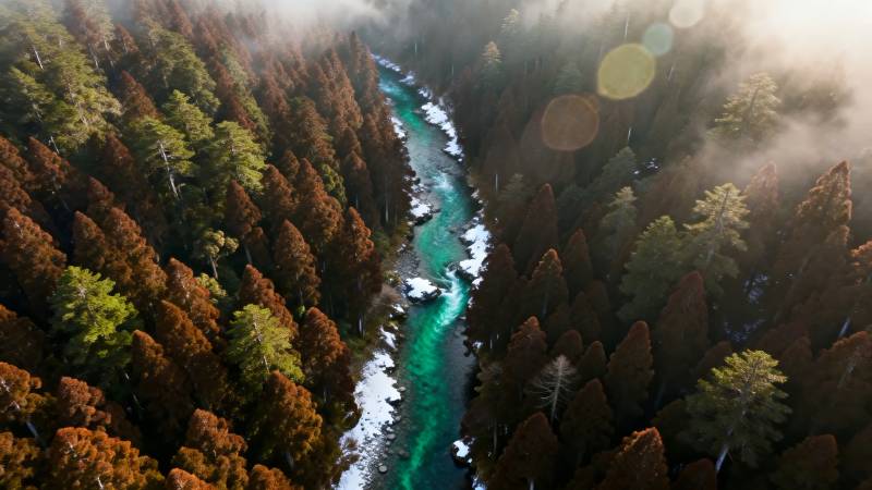 秋林碧溪雾绕仙境图片