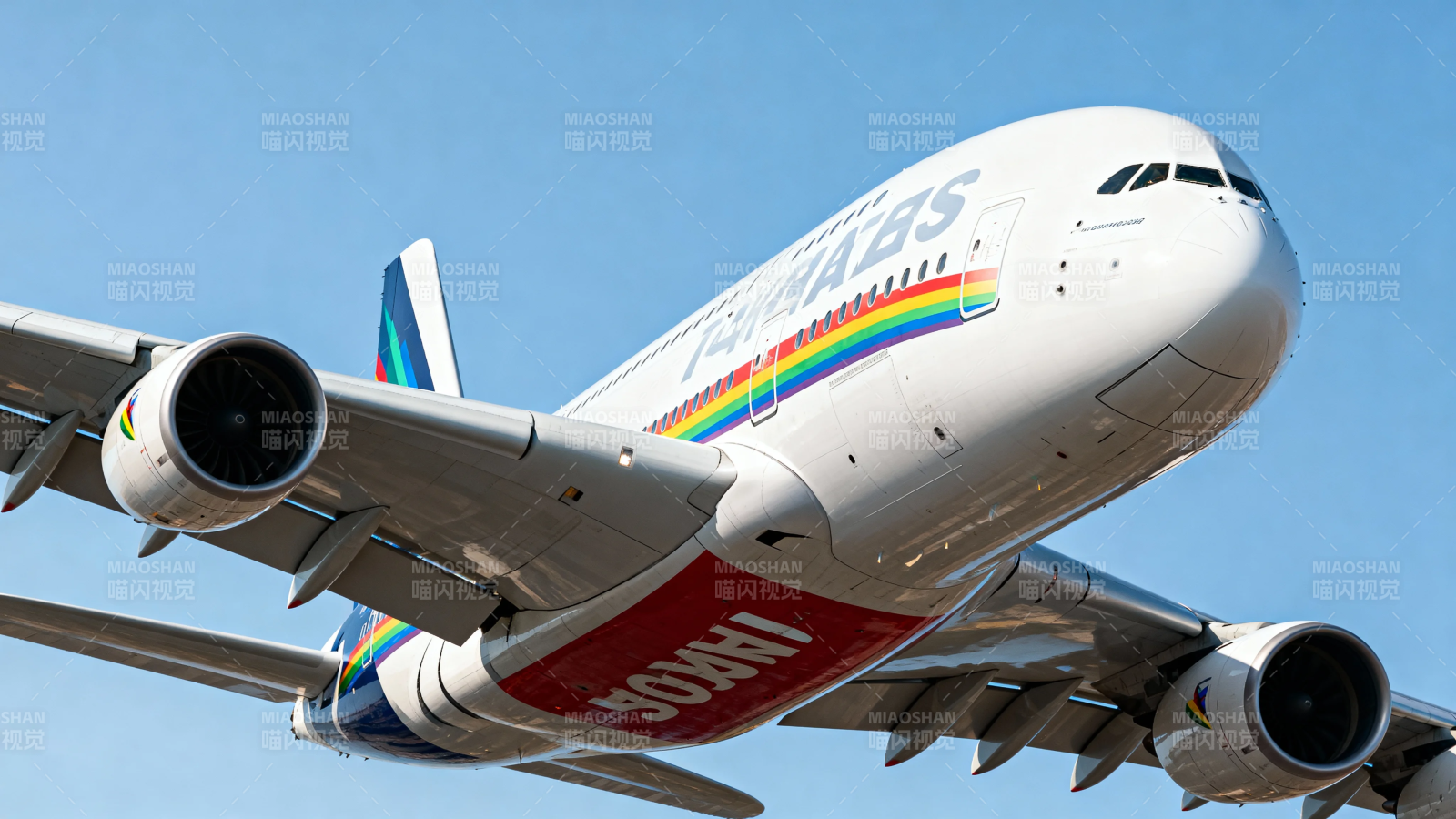 彩虹涂装客机蓝天翱翔图片