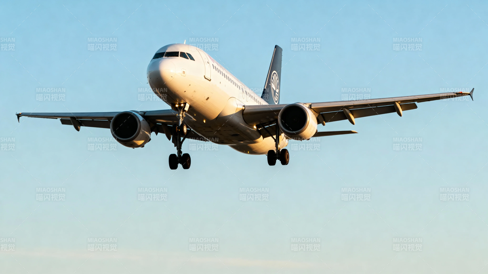 飞机降落瞬间 蓝天映衬下图片