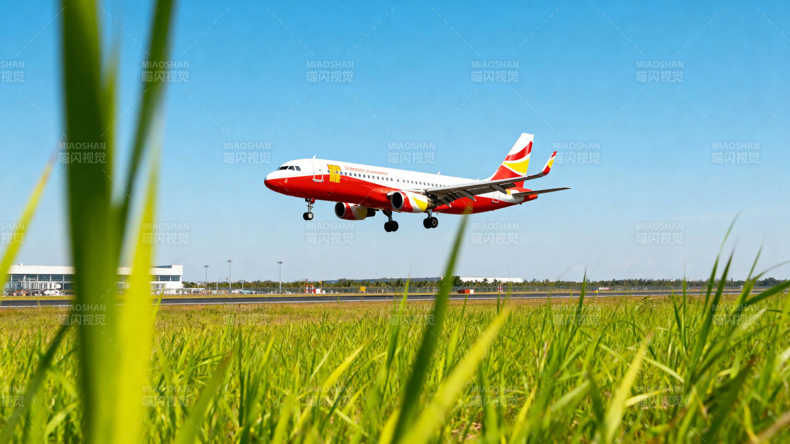 红白客机低空掠过绿野图片