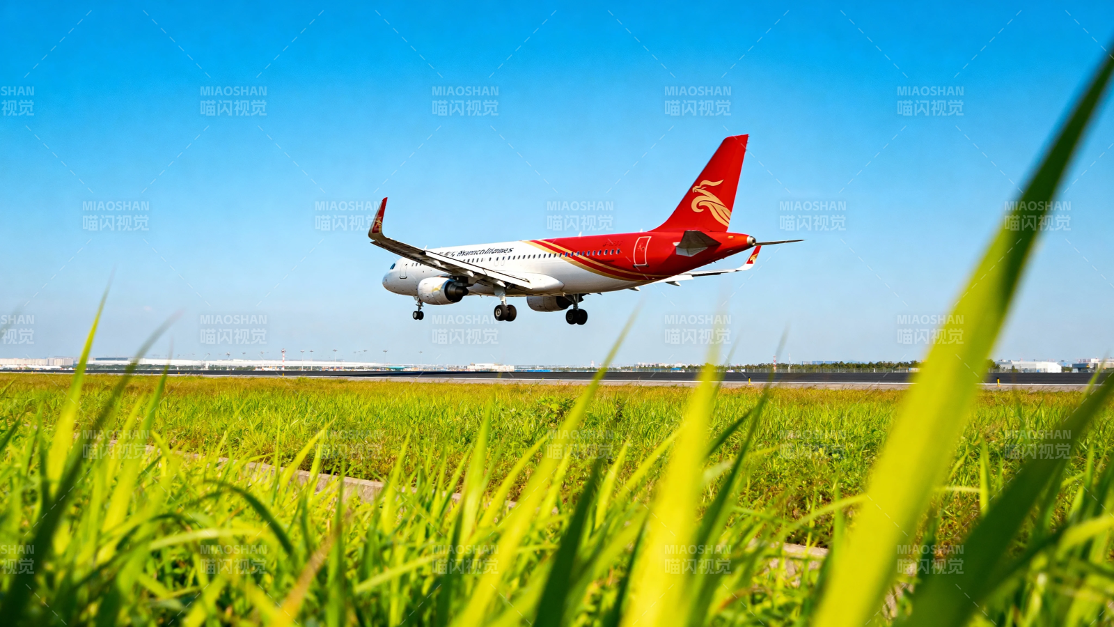 红尾客机低空掠过绿野图片