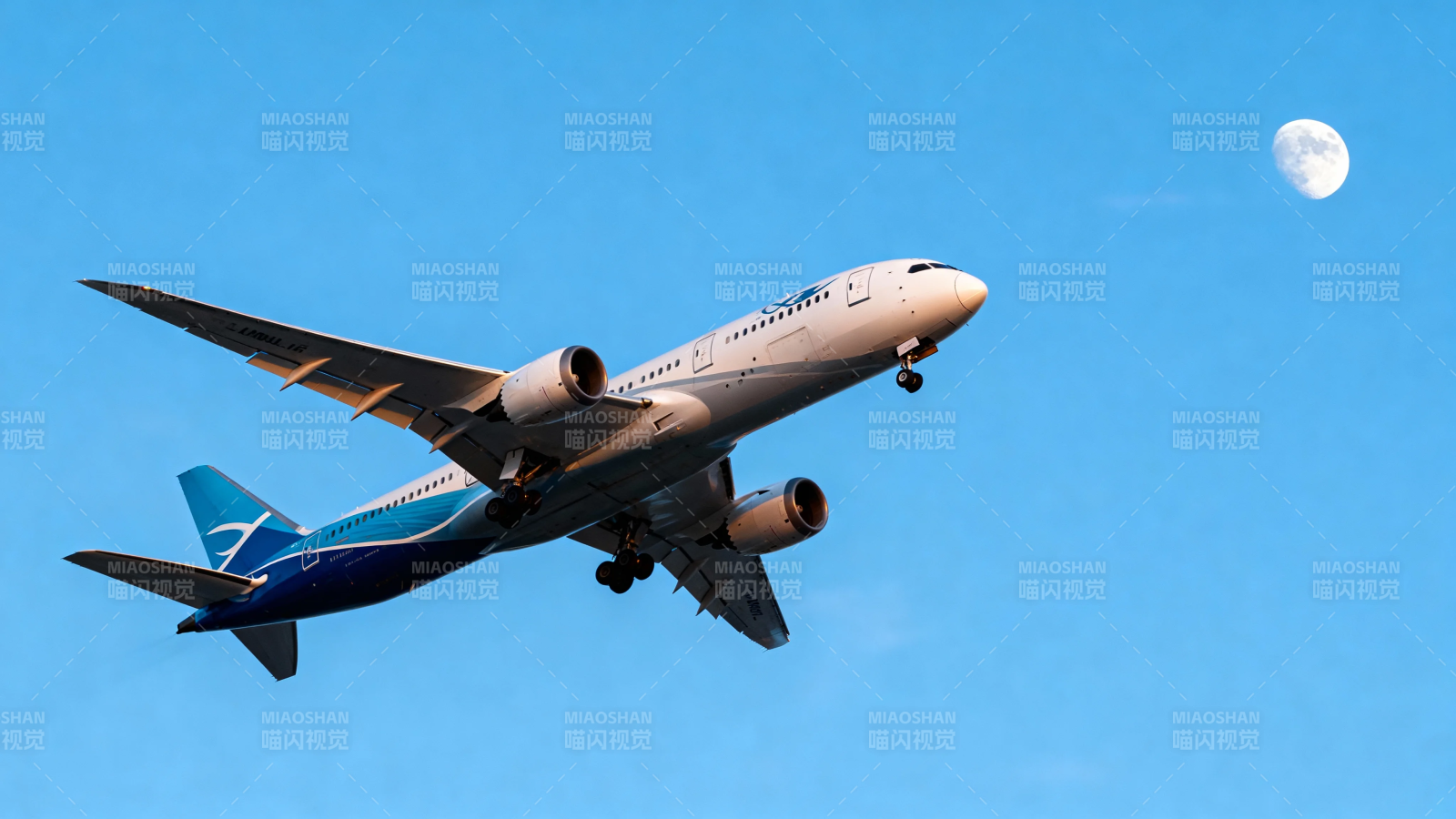 飞机伴月飞蓝天图片