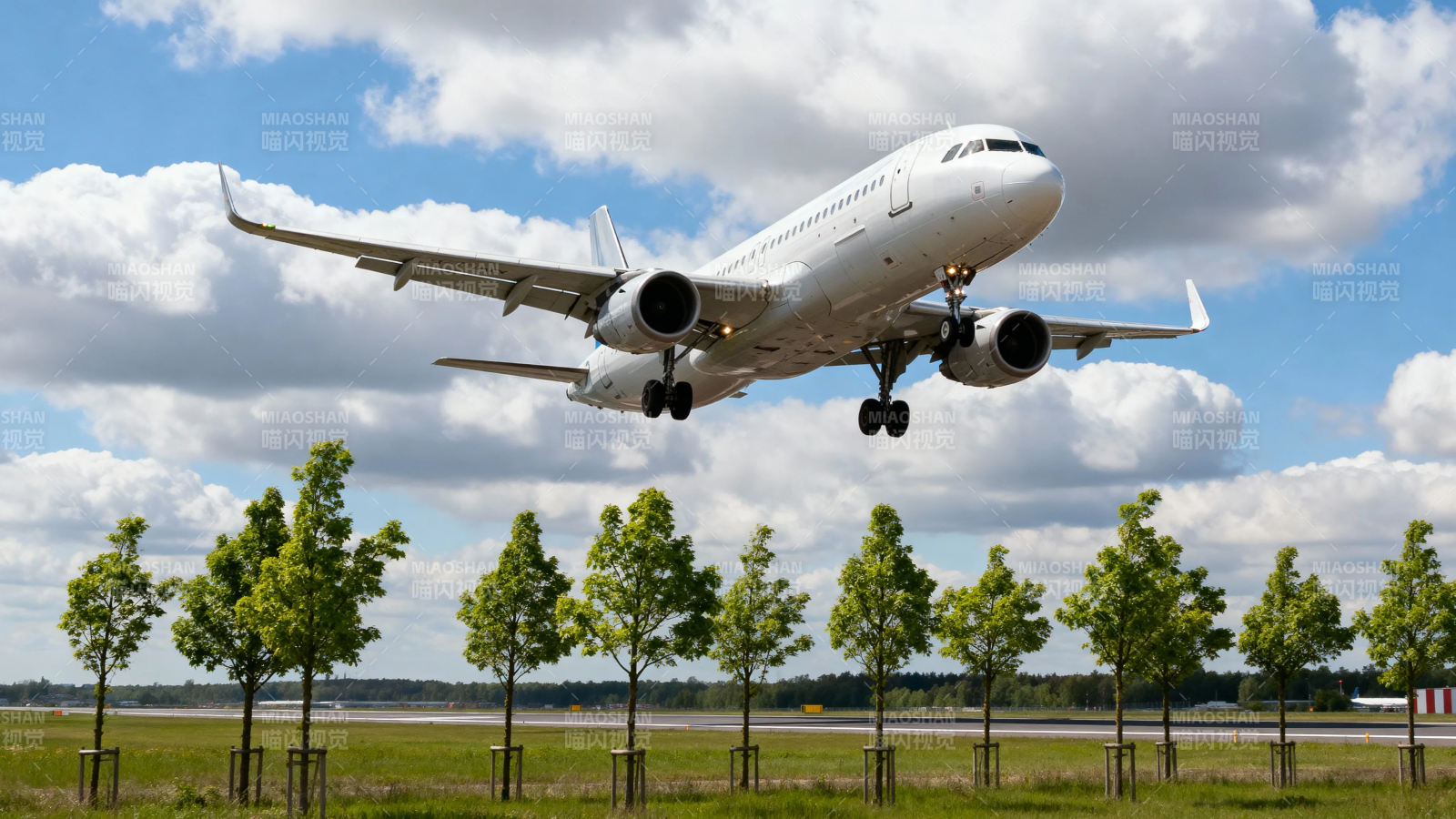 飞机降落 绿树成行迎归途图片