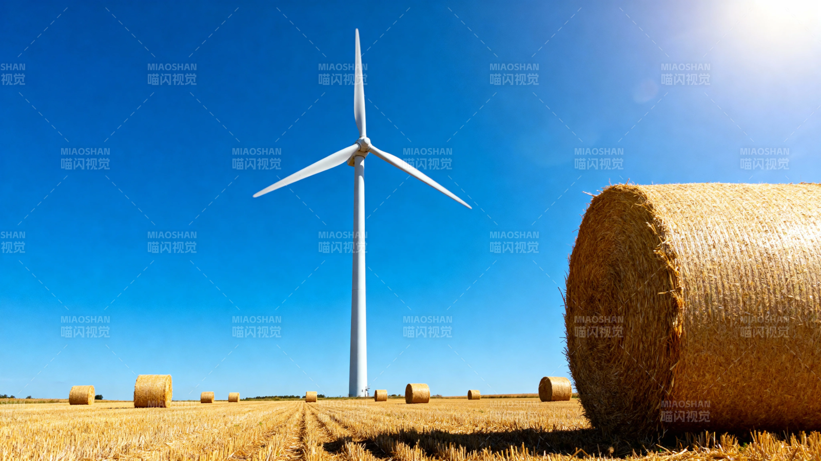 风车田野 金黄麦浪映蓝天图片