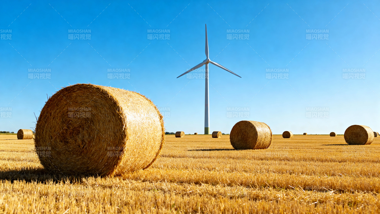 风车下的金黄麦田图片