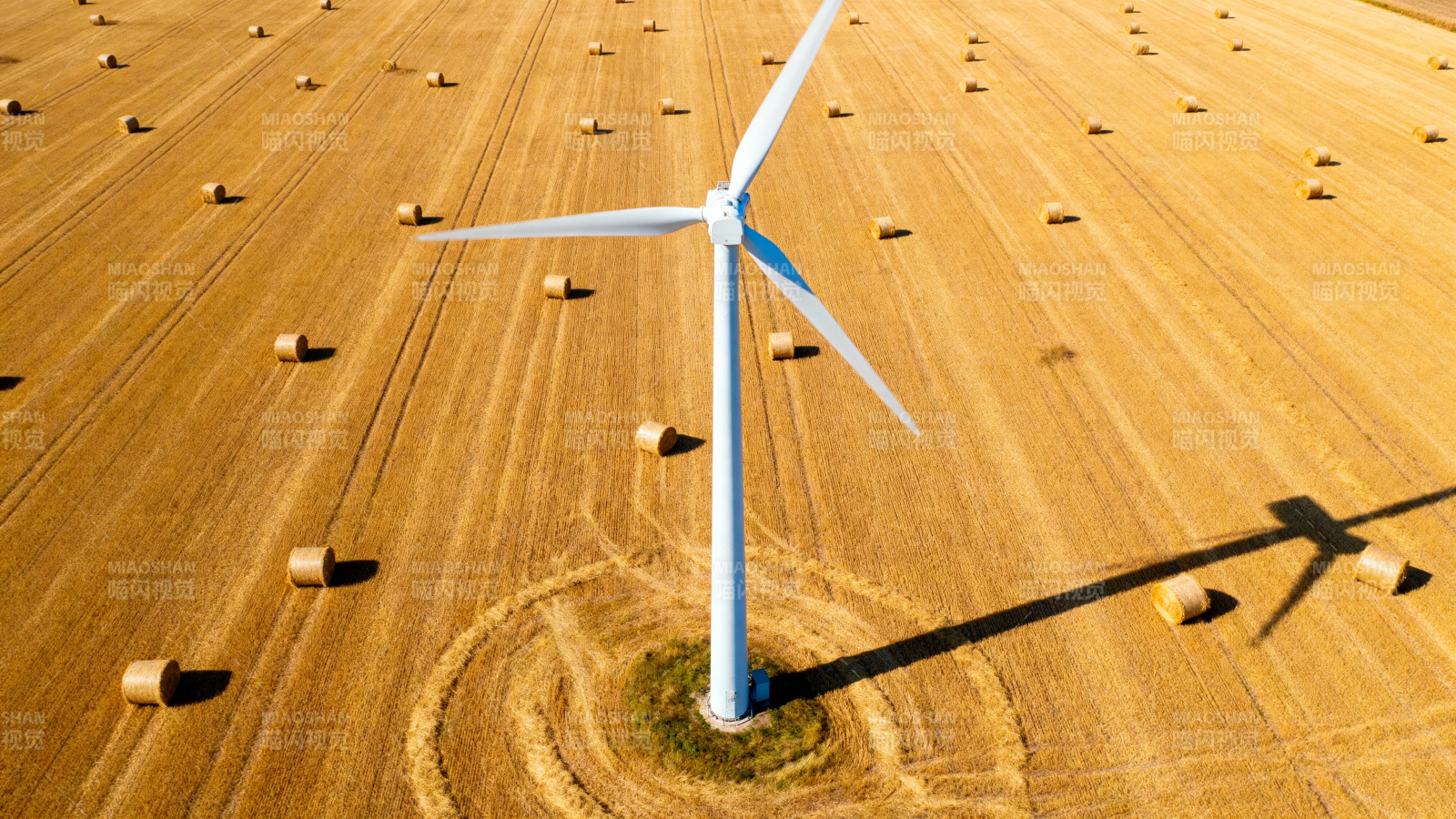 风车矗立金黄麦田中图片