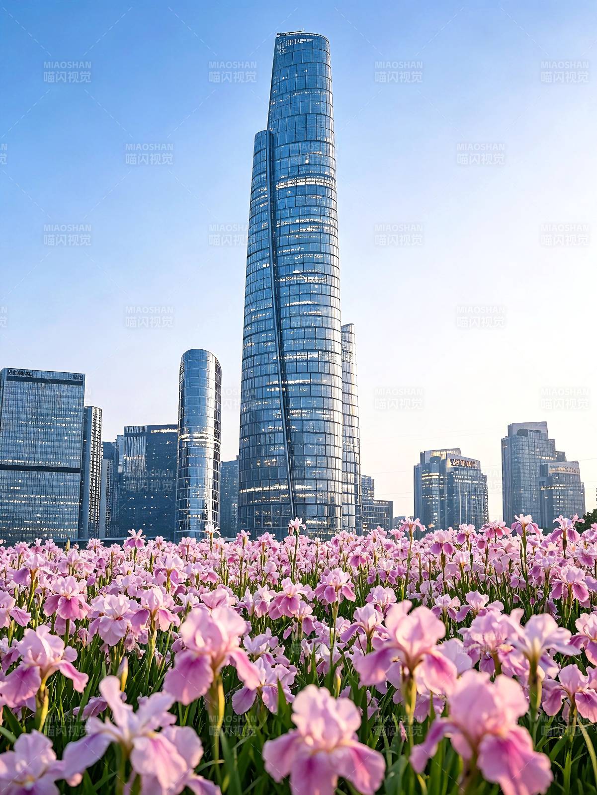 鸢尾花掩映下的重庆天地图片