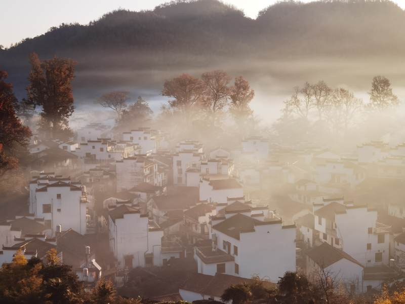 晨雾中的白墙古村图片