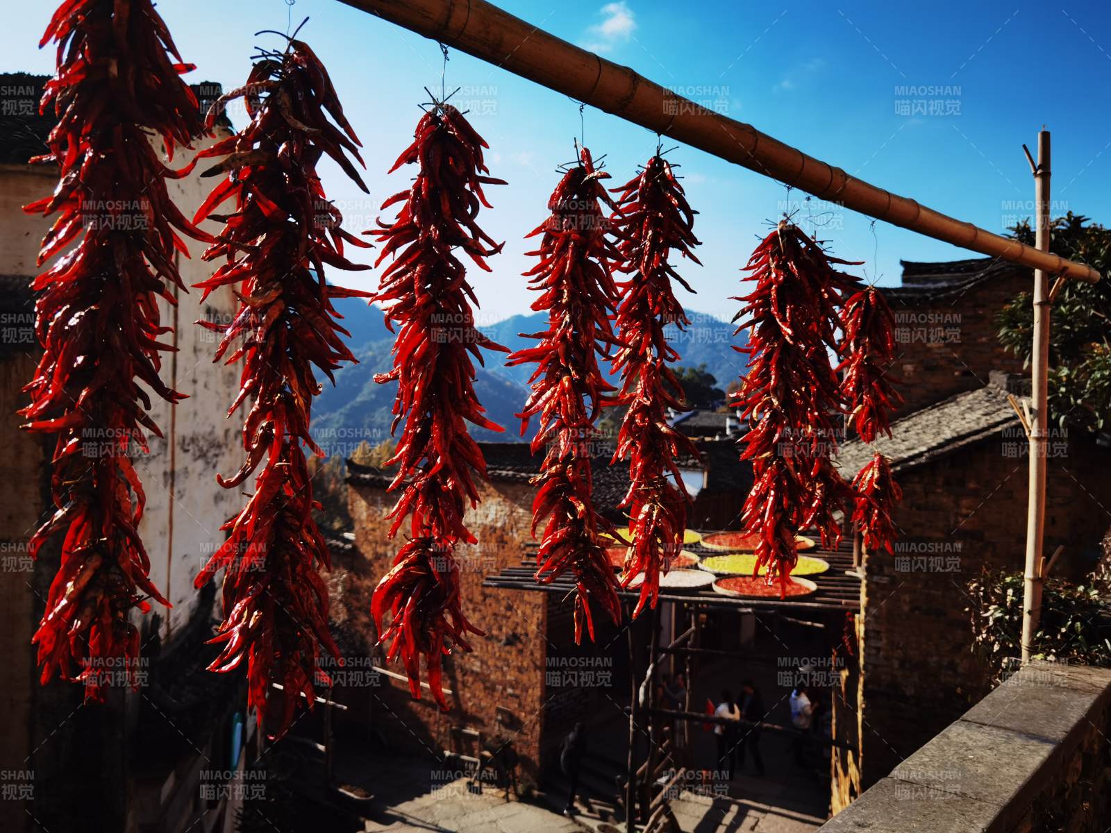 晒秋红椒映古村图片