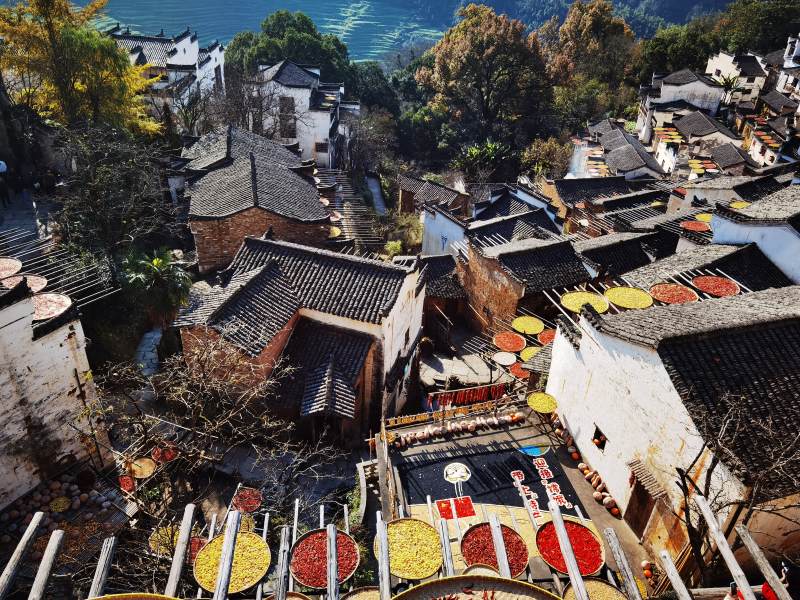 古村晒秋 色彩斑斓如画卷图片