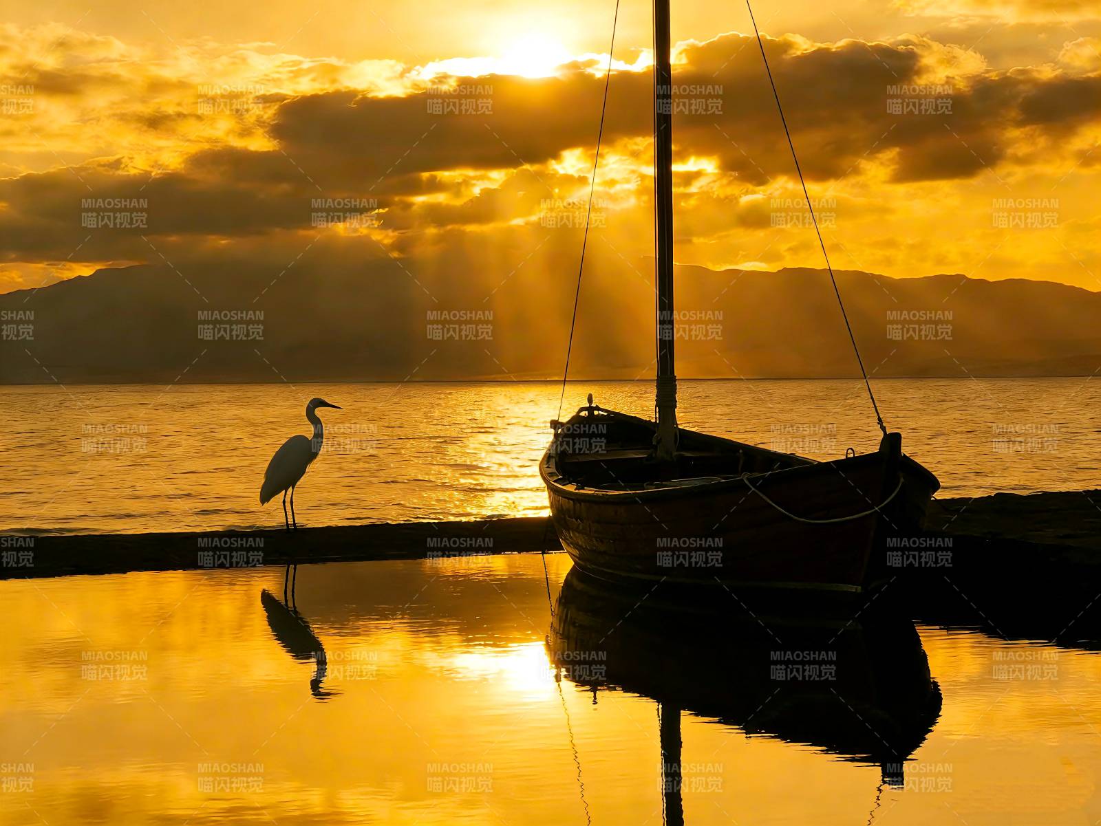 夕阳照映下的鹭影金波图片