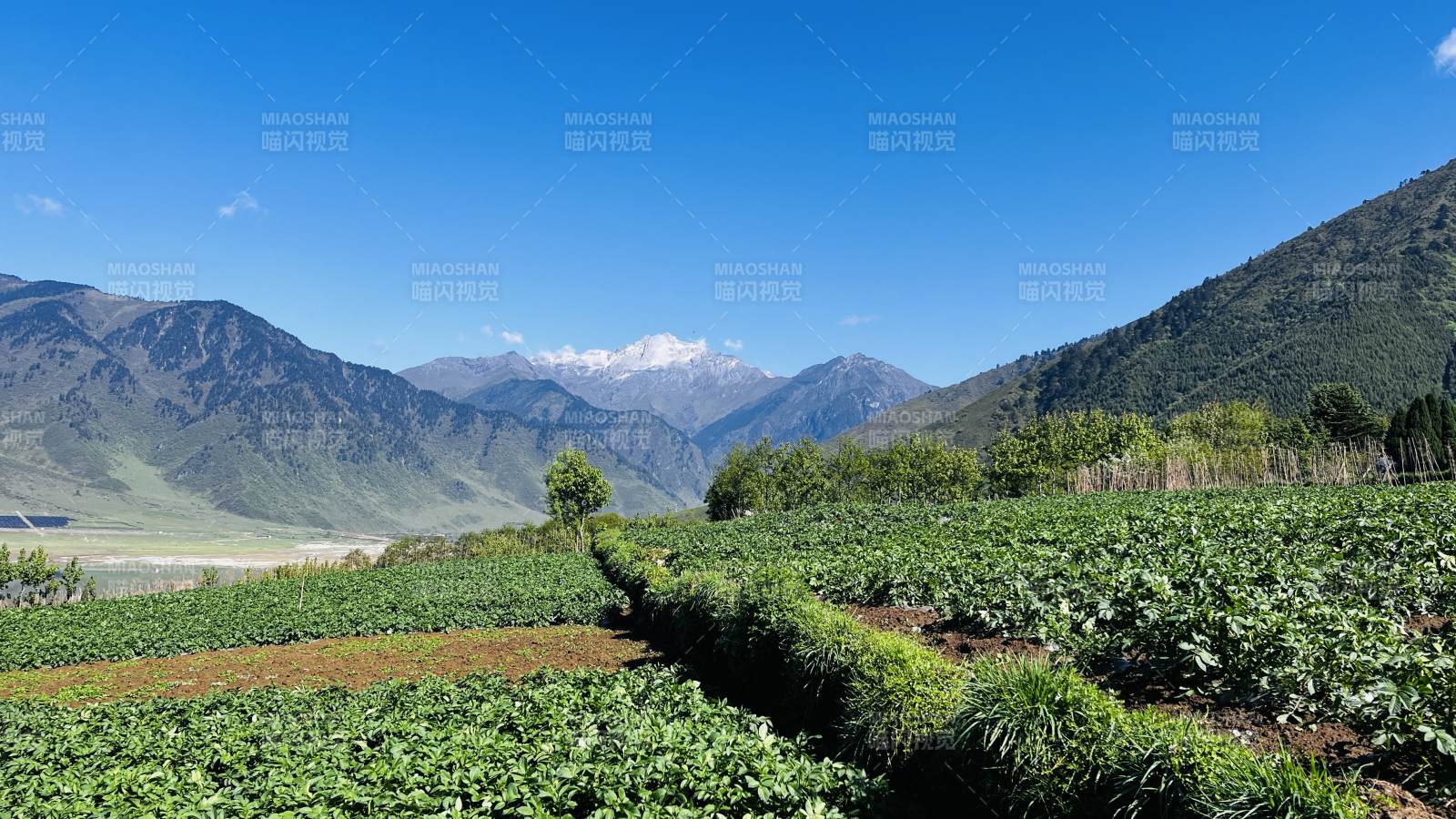 青山环抱绿野 蓝天如洗图片
