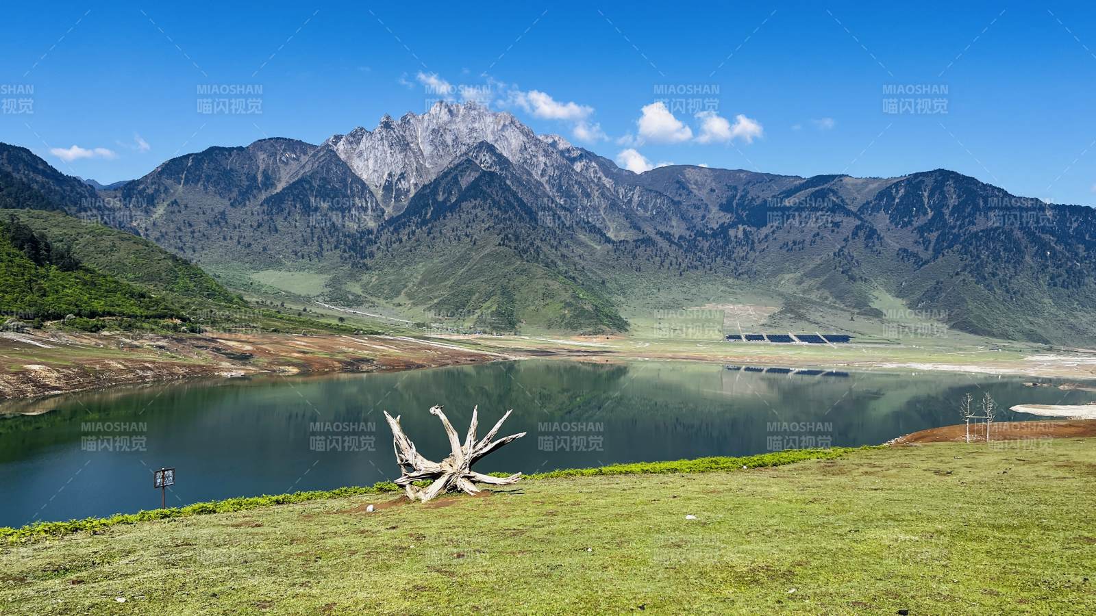 山湖静美 枯木点睛图片