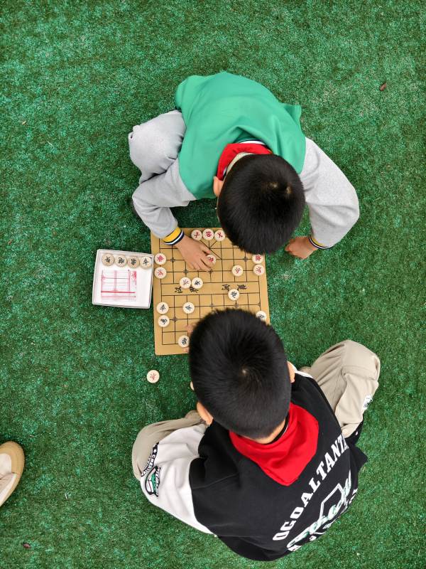 绿茵地上对弈象棋乐图片