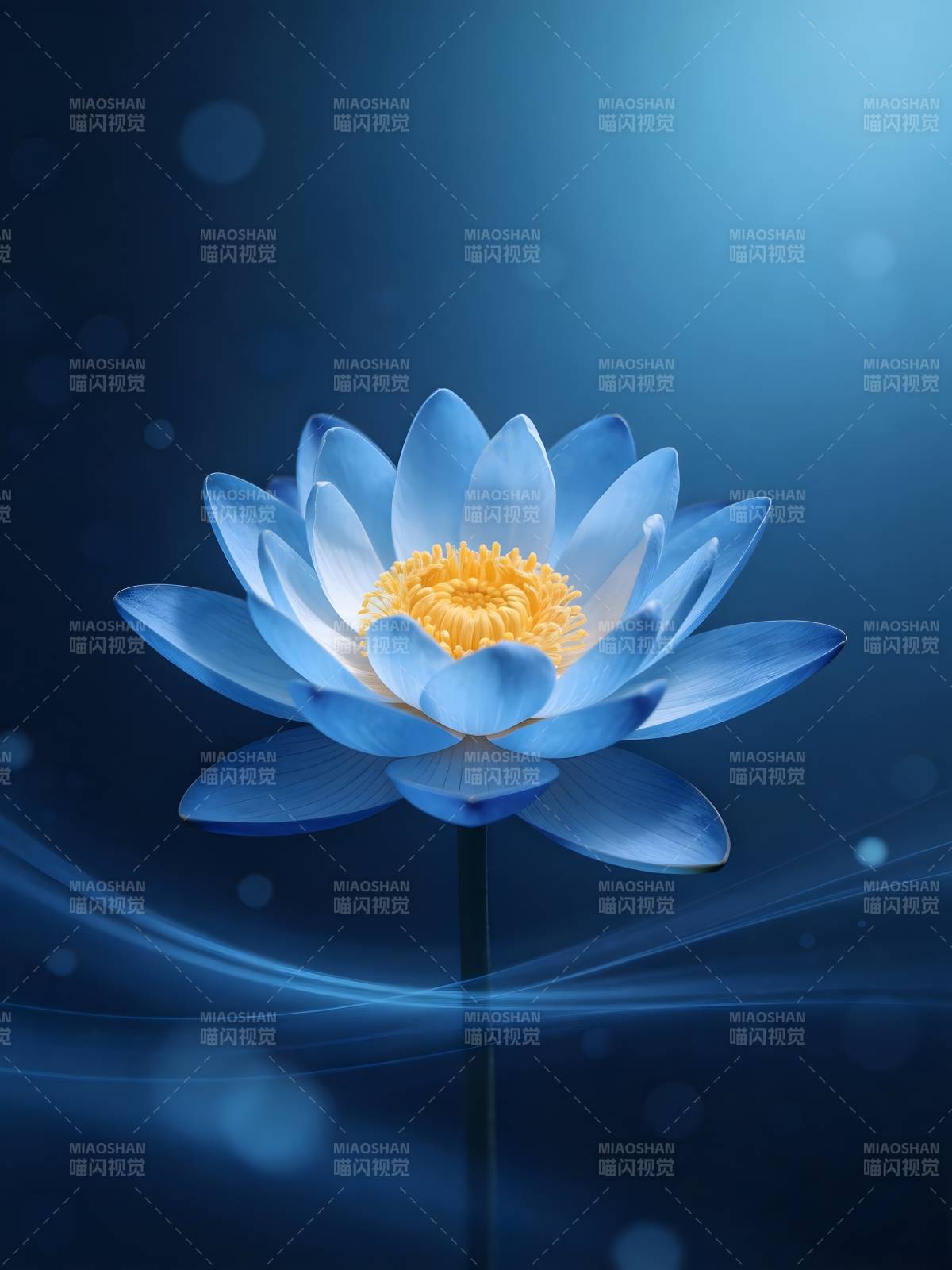 蓝莲静绽 光韵如梦图片